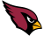 Arizona Cardinals